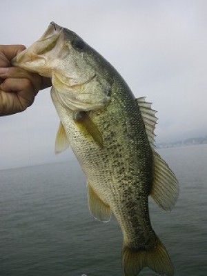 truth news ブログ写真 2012/07/13