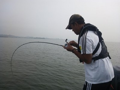 truth news ブログ写真 2012/07/13