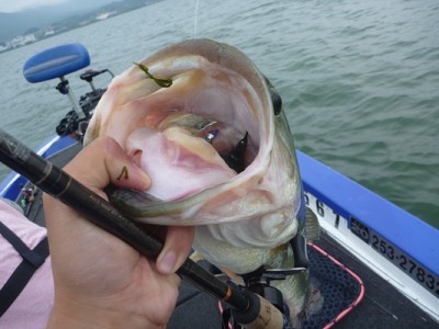 truth news ブログ写真 2012/07/14