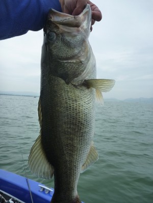 truth news ブログ写真 2012/07/14