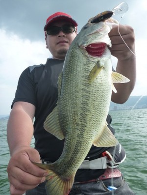 truth news ブログ写真 2012/07/14