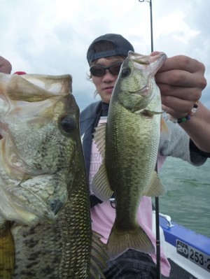 truth news ブログ写真 2012/07/14