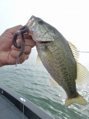 truth news ブログ写真 2012/07/15