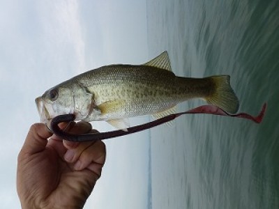 truth news ブログ写真 2012/07/15