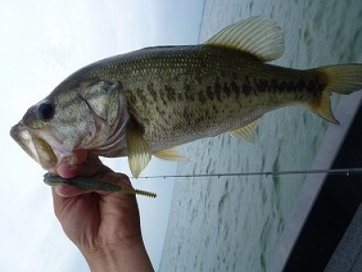 truth news ブログ写真 2012/07/15