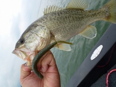 truth news ブログ写真 2012/07/15