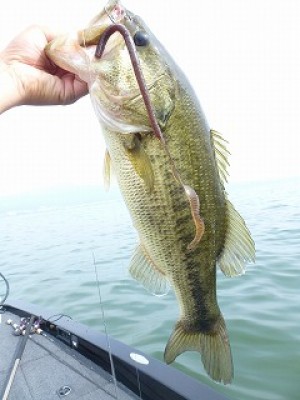 truth news ブログ写真 2012/07/15