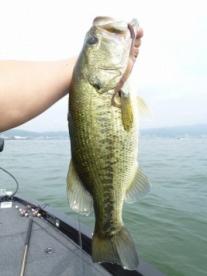 truth news ブログ写真 2012/07/15