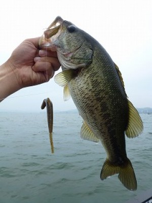 truth news ブログ写真 2012/07/15