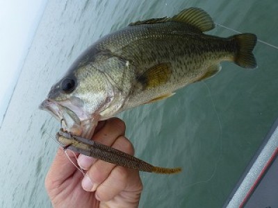 truth news ブログ写真 2012/07/15