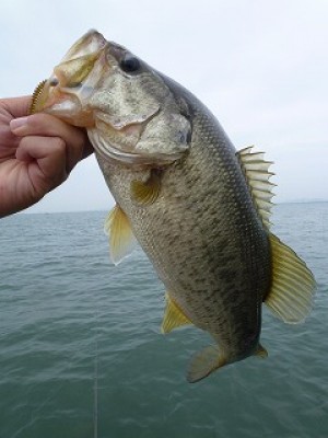 truth news ブログ写真 2012/07/15