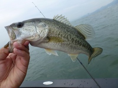 truth news ブログ写真 2012/07/15