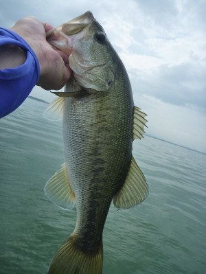 truth news ブログ写真 2012/07/15