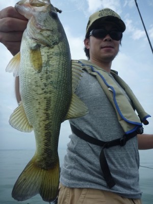 truth news ブログ写真 2012/07/15