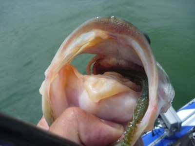 truth news ブログ写真 2012/07/15