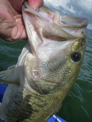 truth news ブログ写真 2012/07/15