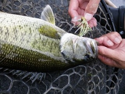 truth news ブログ写真 2012/07/21