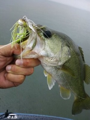 truth news ブログ写真 2012/07/21