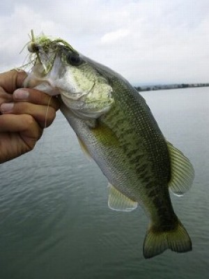 truth news ブログ写真 2012/07/21