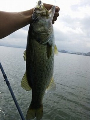 truth news ブログ写真 2012/07/21