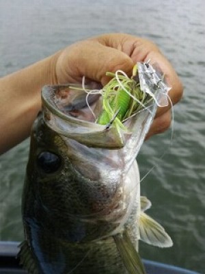 truth news ブログ写真 2012/07/21