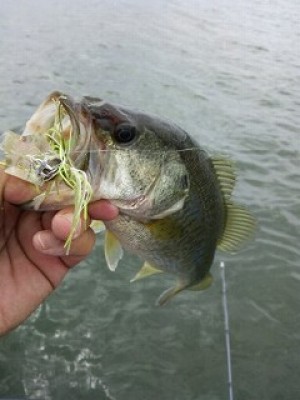 truth news ブログ写真 2012/07/21