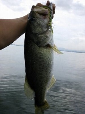 truth news ブログ写真 2012/07/21