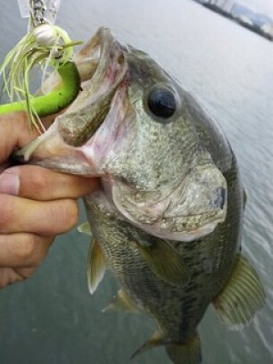 truth news ブログ写真 2012/07/21