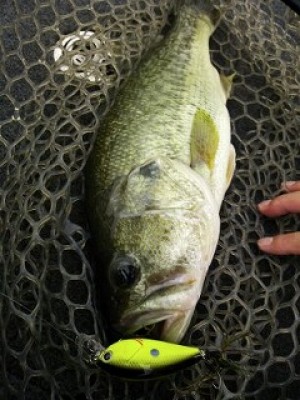 truth news ブログ写真 2012/07/21