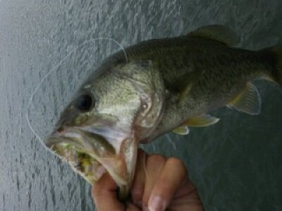 truth news ブログ写真 2012/07/21