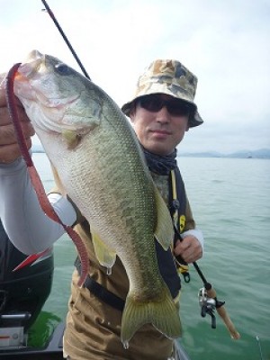 truth news ブログ写真 2012/07/22