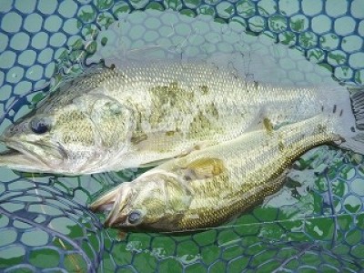 truth news ブログ写真 2012/07/22