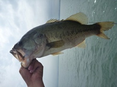 truth news ブログ写真 2012/07/22