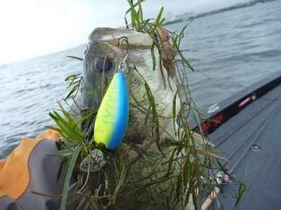 truth news ブログ写真 2012/07/22