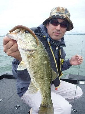 truth news ブログ写真 2012/07/22