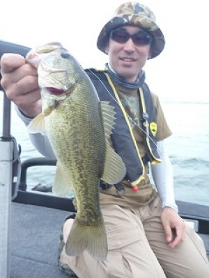 truth news ブログ写真 2012/07/22