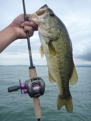 truth news ブログ写真 2012/07/22