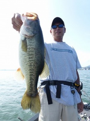 truth news ブログ写真 2012/07/24