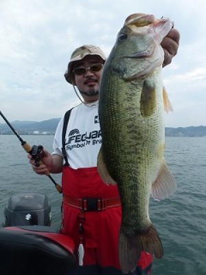 truth news ブログ写真 2012/07/25