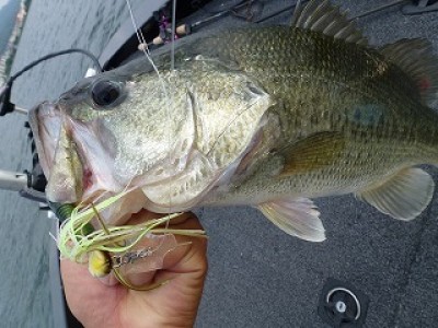 truth news ブログ写真 2012/07/25