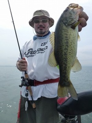 truth news ブログ写真 2012/07/25