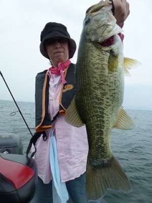 truth news ブログ写真 2012/07/26