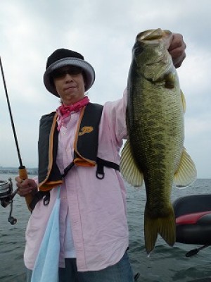 truth news ブログ写真 2012/07/26