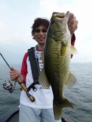 truth news ブログ写真 2012/07/26