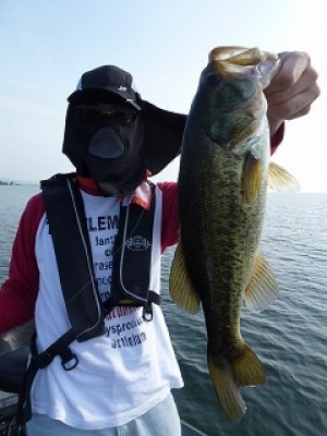 truth news ブログ写真 2012/07/26