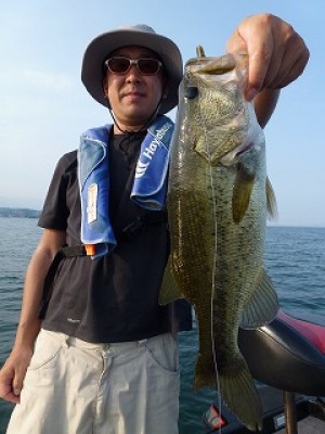 truth news ブログ写真 2012/07/27