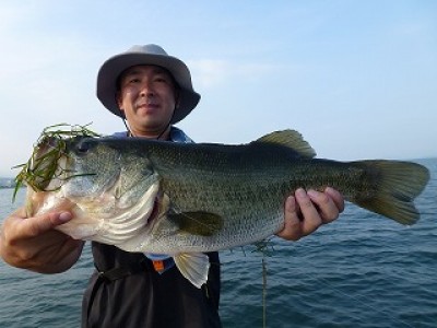 truth news ブログ写真 2012/07/27