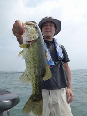 truth news ブログ写真 2012/07/27