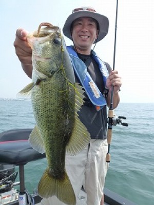 truth news ブログ写真 2012/07/27