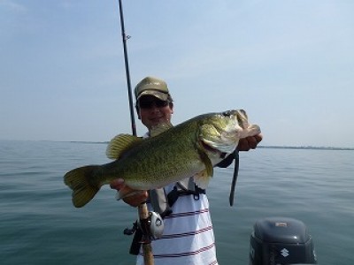 truth news ブログ写真 2012/07/27